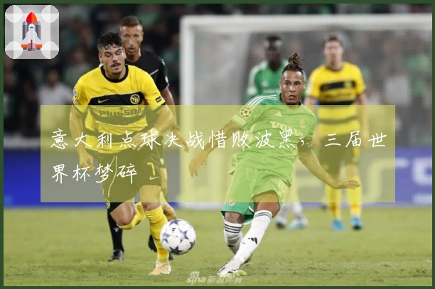 意大利点球决战惜败波黑，三届世界杯梦碎