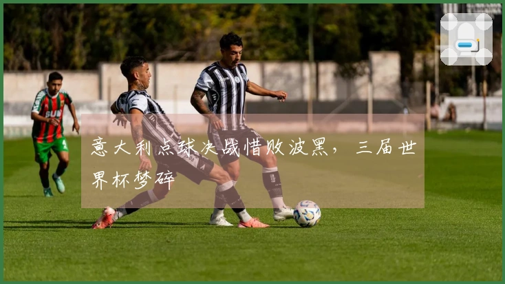 意大利点球决战惜败波黑，三届世界杯梦碎
