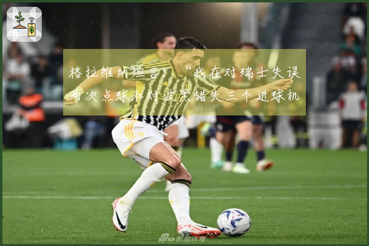 格拉维纳坦言：“我在对瑞士失误两次点球和对波黑错失三个进球机会”